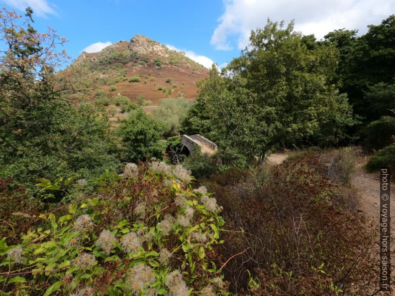 Pont génois de Laretu. Photo © André M. Winter