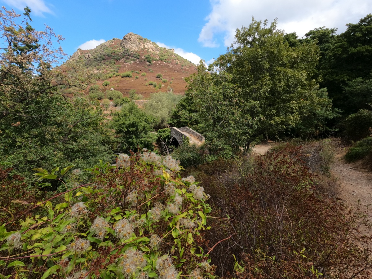 Pont génois de Laretu. Photo © André M. Winter