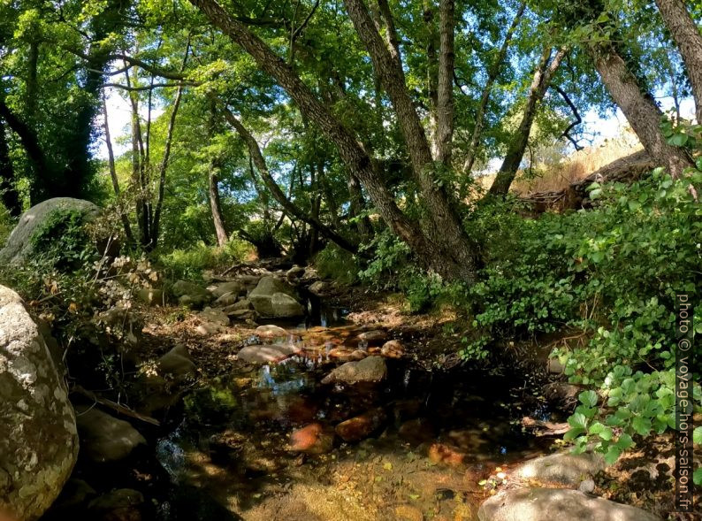 Fiume di Regino. Photo © André M. Winter