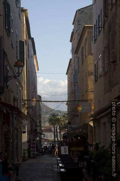 Rue de l'Île Rousse avec palmiers au bout. Photo © Alex Medwedeff