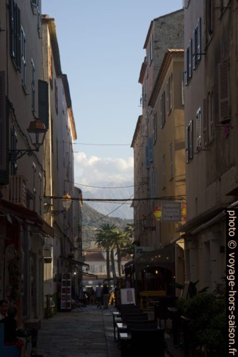 Rue de l'Île Rousse avec palmiers au bout. Photo © Alex Medwedeff