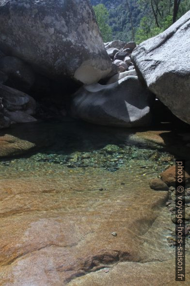 L'eau claire de la Figarelle. Photo © Alex Medwedeff