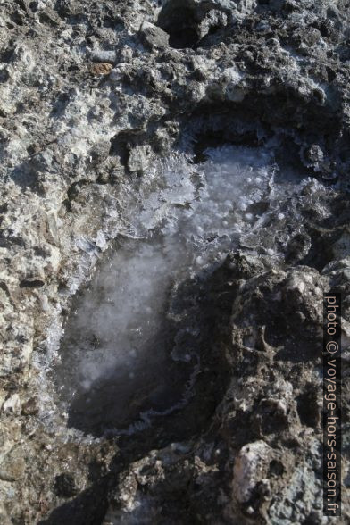 Du sel se forme dans les parties creuses de la roche. Photo © Alex Medwedeff