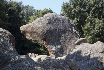 La Tête de Chien. Photo © Alex Medwedeff