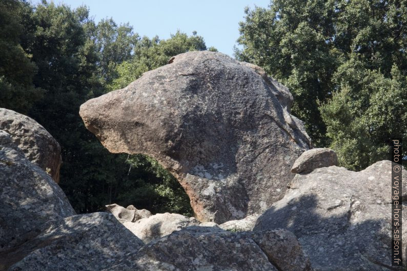 La Tête de Chien. Photo © Alex Medwedeff