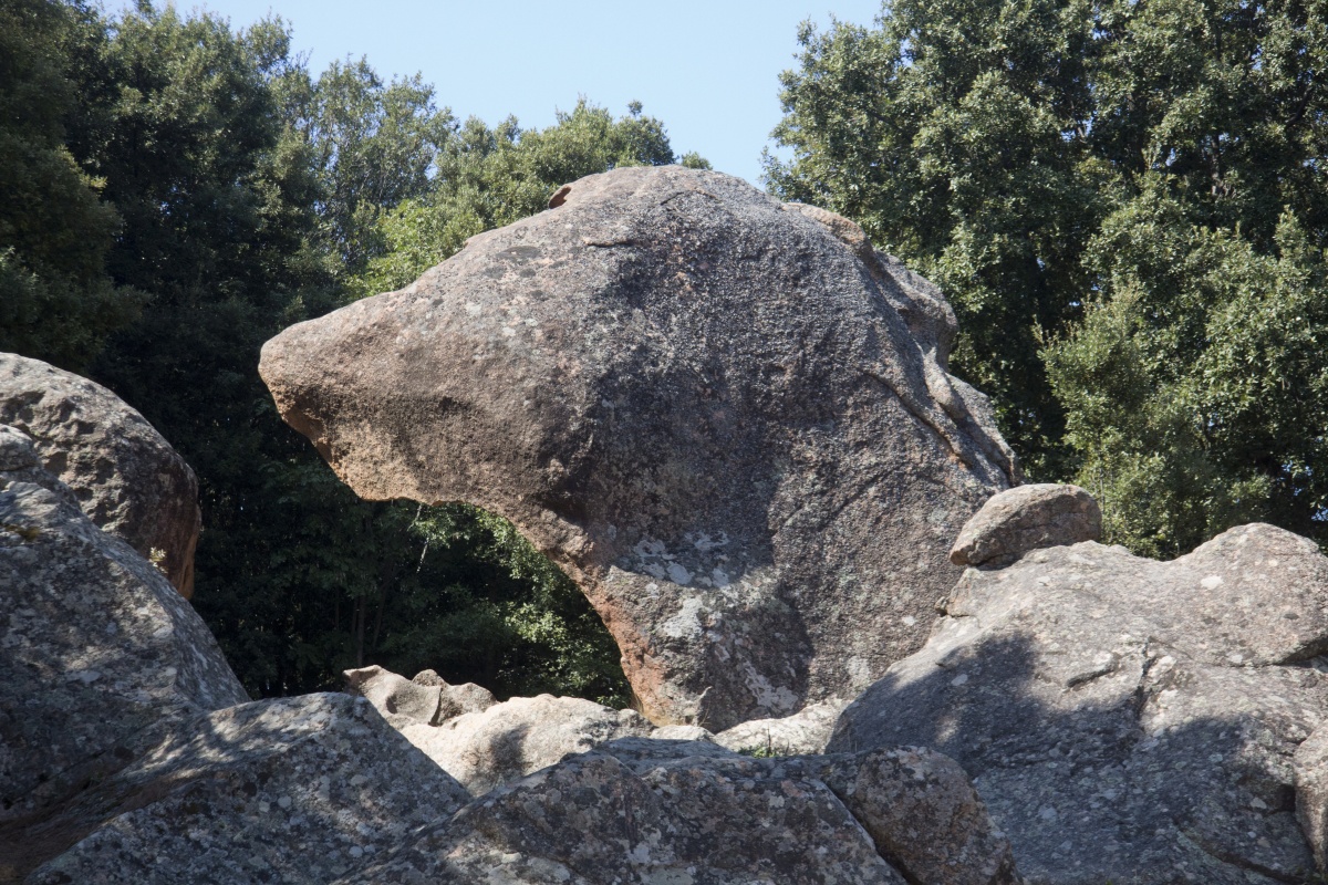 La Tête de Chien. Photo © Alex Medwedeff