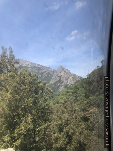 Les vitres sales du train corse. Photo © Alex Medwedeff