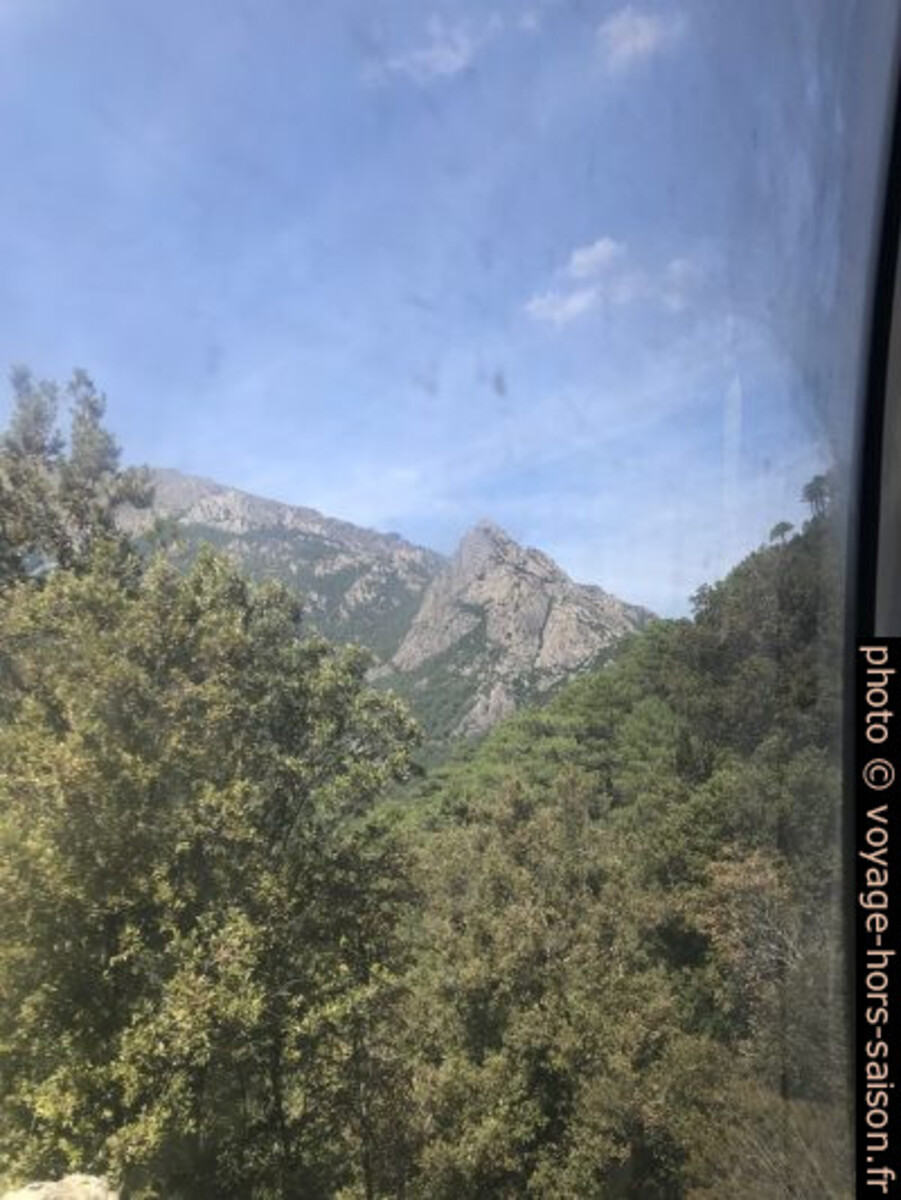 Les vitres sales du train corse. Photo © Alex Medwedeff