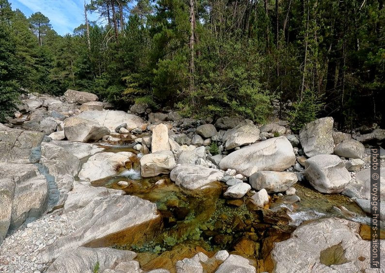 Le Ruisseau de Manganello sous le versant de Biancarella. Photo © André M. Winter