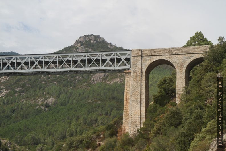 Partie nord du Pont du Vecchio. Photo © Alex Medwedeff