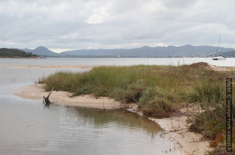 Estuaire de l'Osu ouest. Photo © Alex Medwedeff