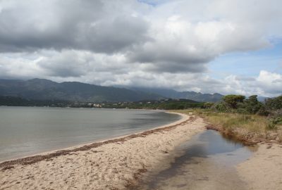 Banc de sable de l'estuaire de l'Osu ouest. Photo © Alex Medwedeff