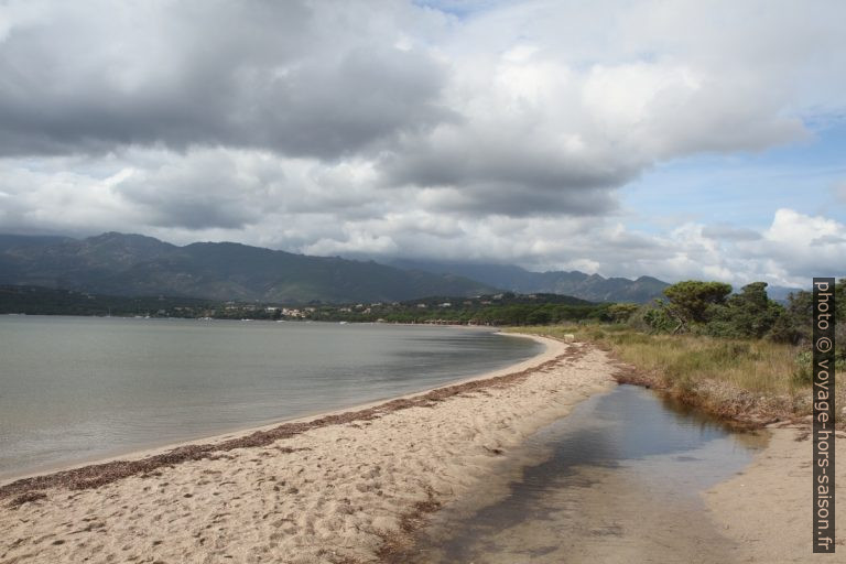 Banc de sable de l'estuaire de l'Osu ouest. Photo © Alex Medwedeff