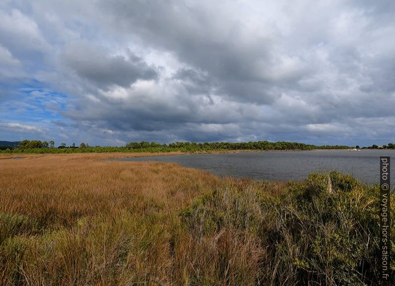 Marais maritime de l'estuaire de l'Osu ouest. Photo © André M. Winter