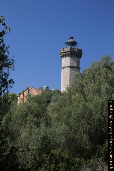 Phare d'Alistro. Photo © Alex Medwedeff