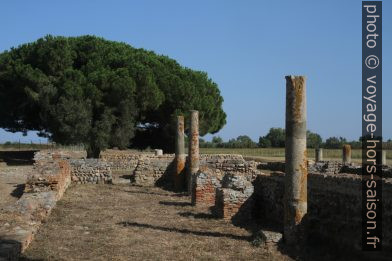 Ruines paléochrétiennes à côté de la Cathédrale de Canonica. Photo © Alex Medwedeff