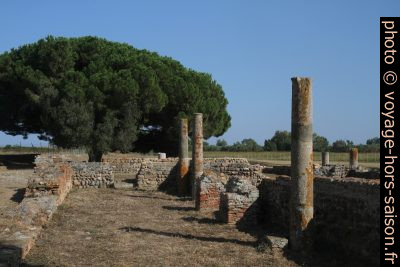 Ruines paléochrétiennes à côté de la Cathédrale de Canonica. Photo © Alex Medwedeff