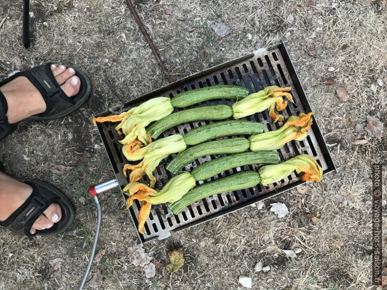 Courgettes avec fleurs sur le barbecue. Photo © Alex Medwedeff