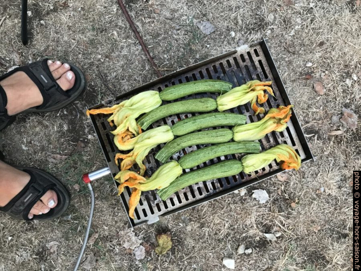 Courgettes avec fleurs sur le barbecue. Photo © Alex Medwedeff