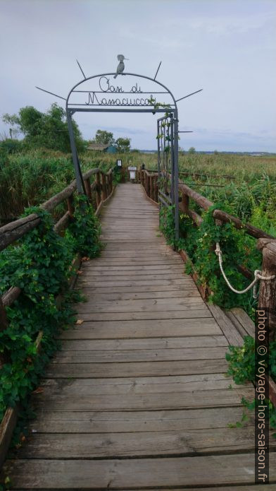 Accès au chemin sur l'étang de Massaciuccoli. Photo © André M. Winter