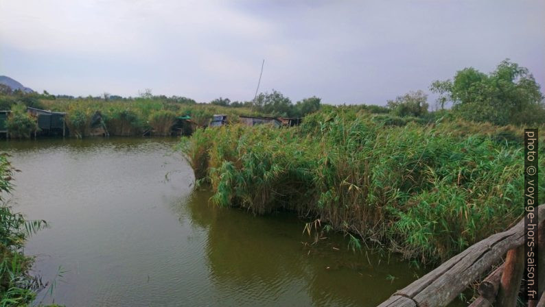 Marais de Massaciuccoli. Photo © André M. Winter