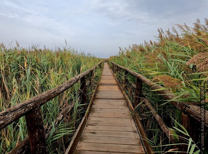 Chemin en bois dans le marais de Massaciuccoli. Photo © André M. Winter