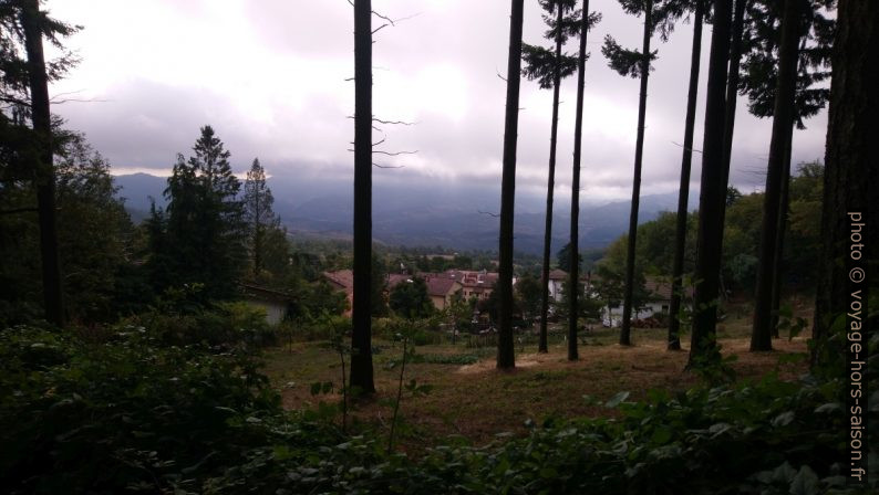 Vue de la forêt sur Covigliaio. Photo © André M. Winter