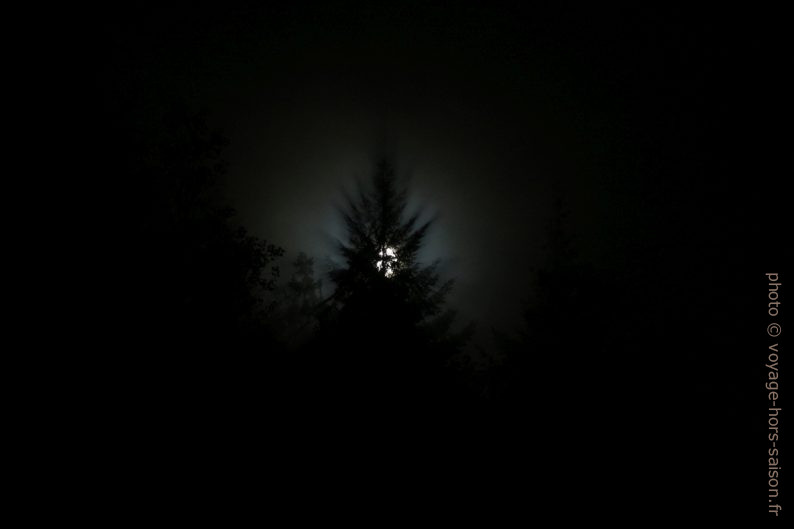 La lune derrière un sapin. Photo © André M. Winter