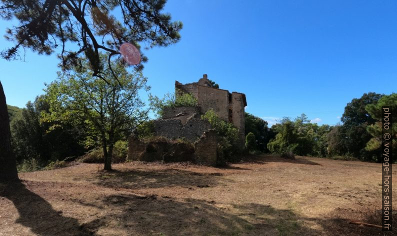 Ruine de la Torre Sant'Alluccio. Photo © André M. Winter