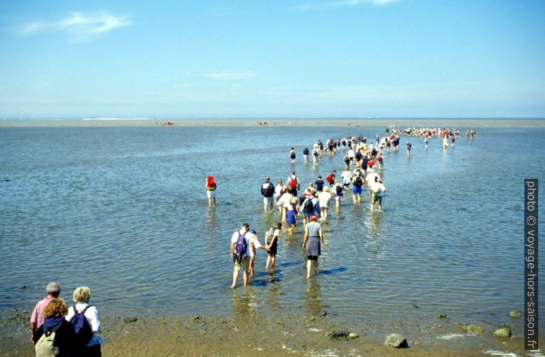 Départ de Föhr vers Amrum par la vasière. Photo © André M. Winter