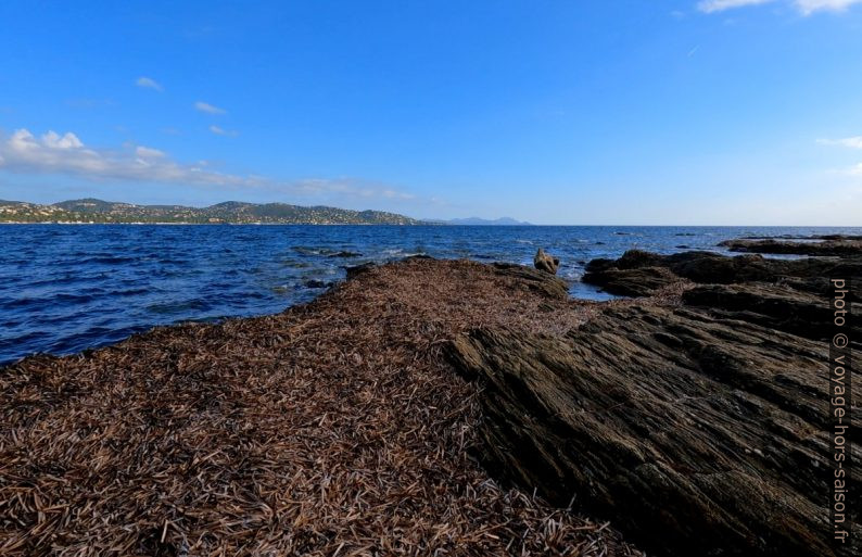 La côte nord de la Pointe des Sardinaux. Photo © André M. Winter