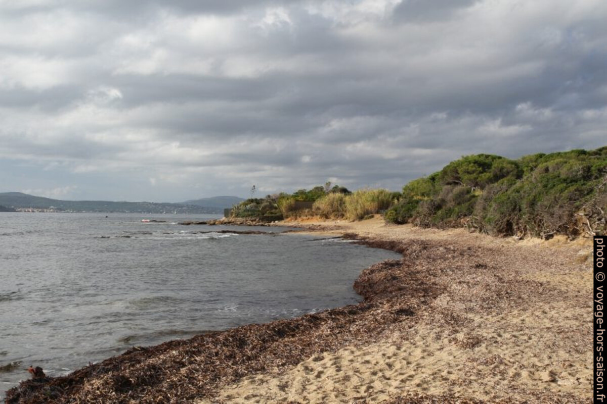 Côte sud de la Pointe des Sardinaux et le Golfe de Saint-Tropez. Photo © Alex Medwedeff