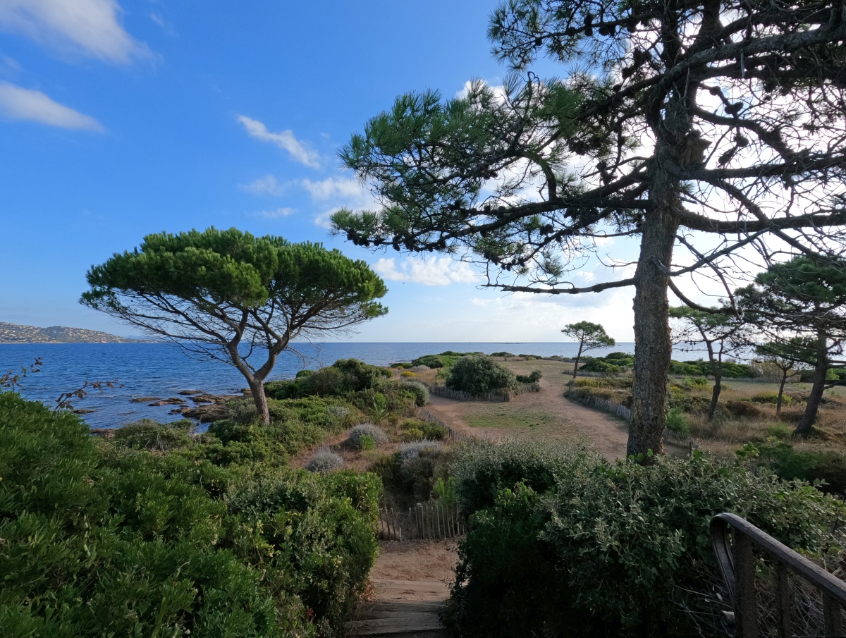 La Pointe des Sardinaux vue du bunker allemand. Photo © André M. Winter