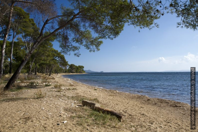 Plage au sud de l'Etang des Anglais. Photo © Alex Medwedeff