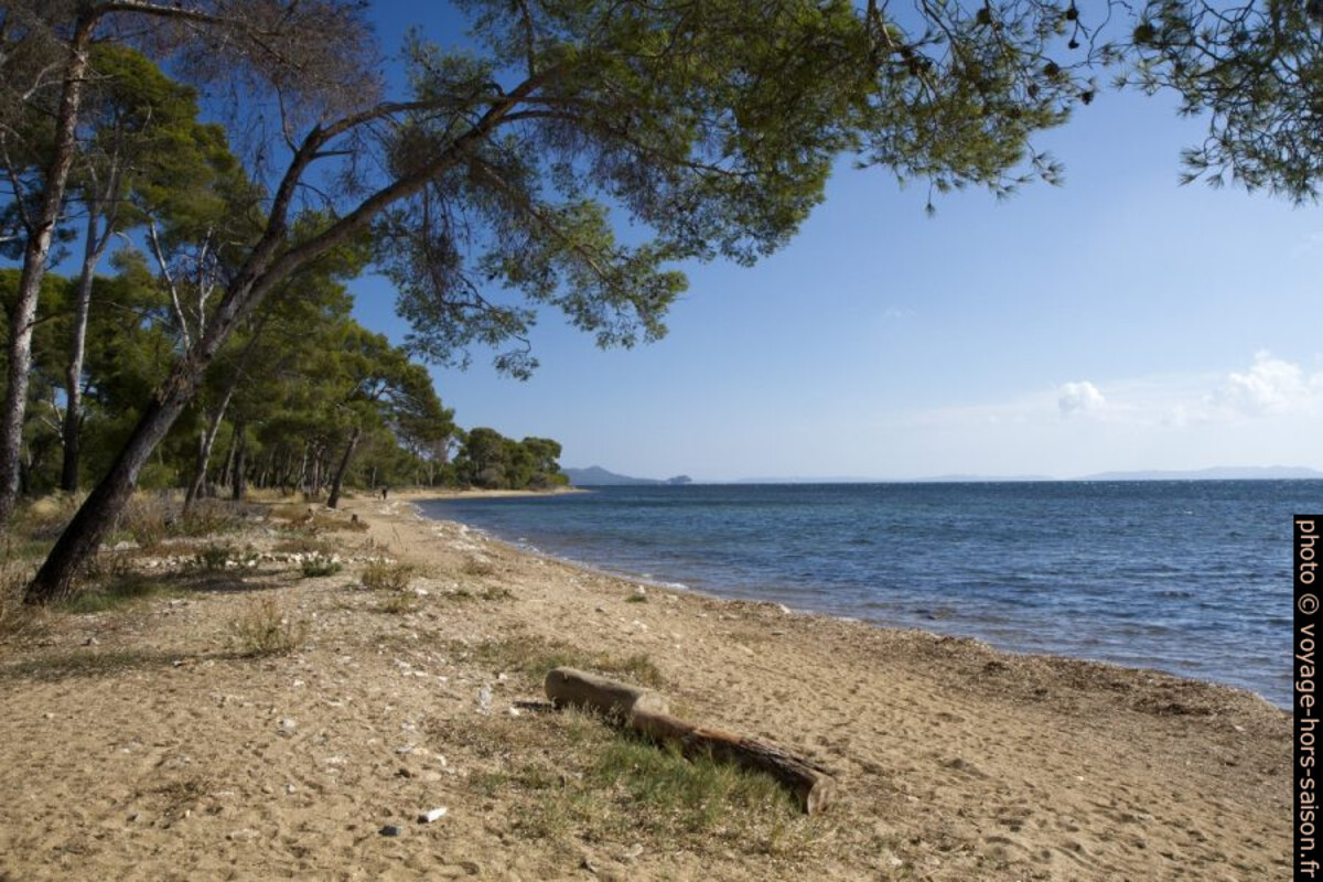 Plage au sud de l'Etang des Anglais. Photo © Alex Medwedeff
