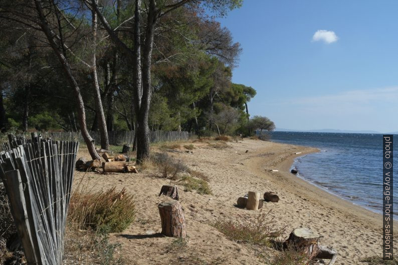 Plage au sud de l'Etang des Anglais. Photo © Alex Medwedeff