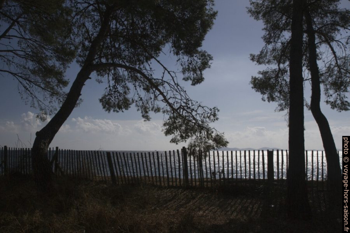 Contre-jour à la plage au sud de l'Etang des Anglais. Photo © Alex Medwedeff