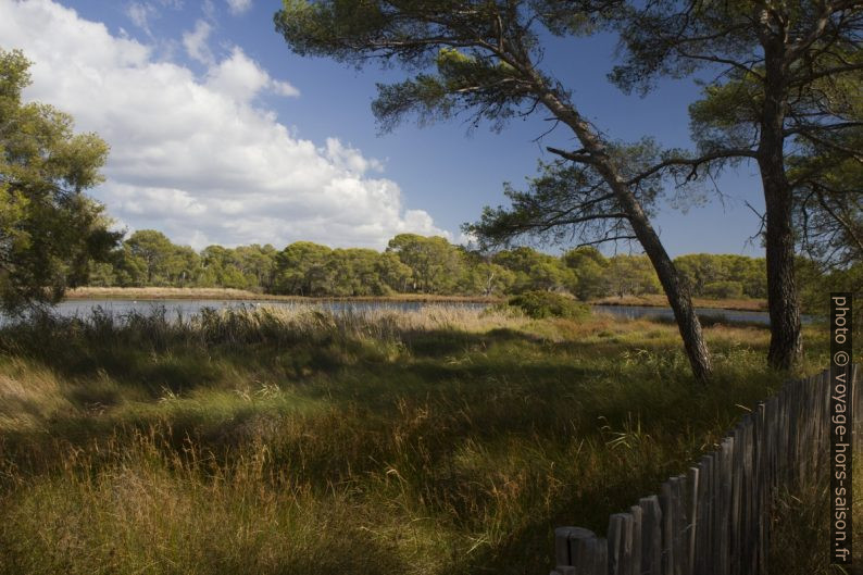 L'Etang des Anglais. Photo © Alex Medwedeff