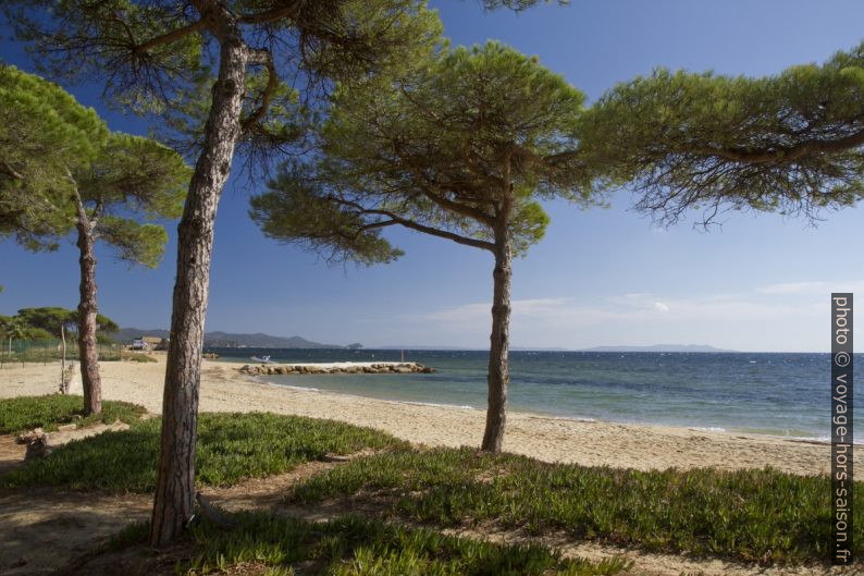 Plage devant le Camping le Pansard. Photo © Alex Medwedeff