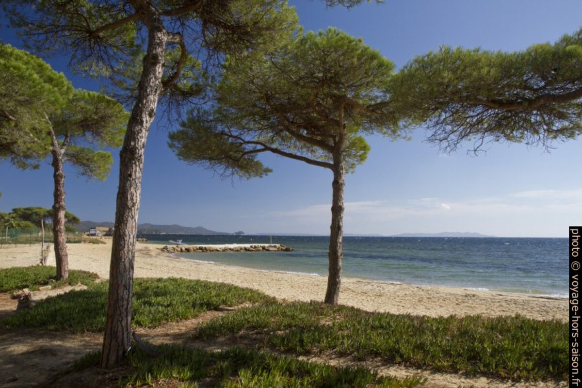 Plage devant le Camping le Pansard. Photo © Alex Medwedeff