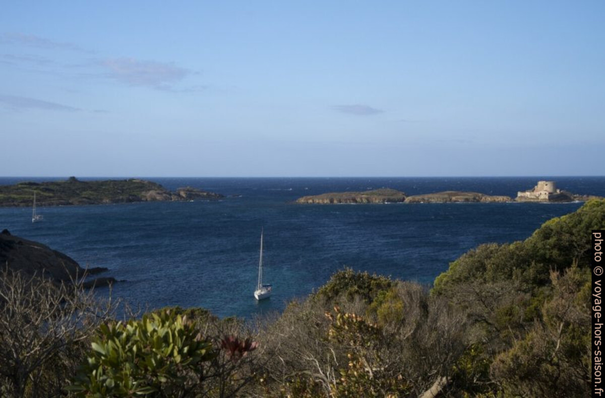 Ile du petit Langoustier. Photo © Alex Medwedeff