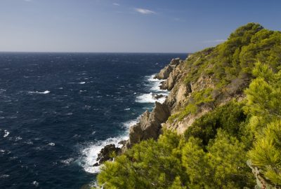 Côte escarpée du Cap d'Arme. Photo © Alex Medwedeff