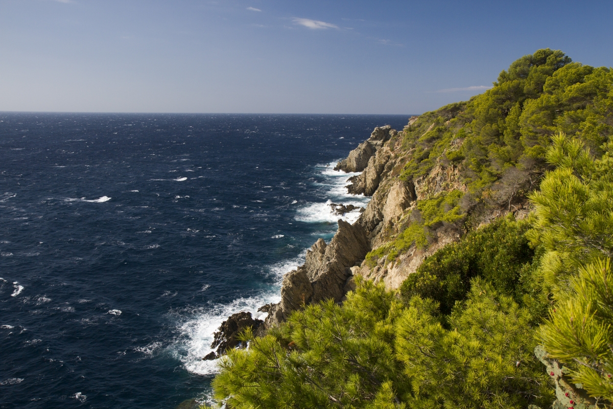 Côte escarpée du Cap d'Arme. Photo © Alex Medwedeff