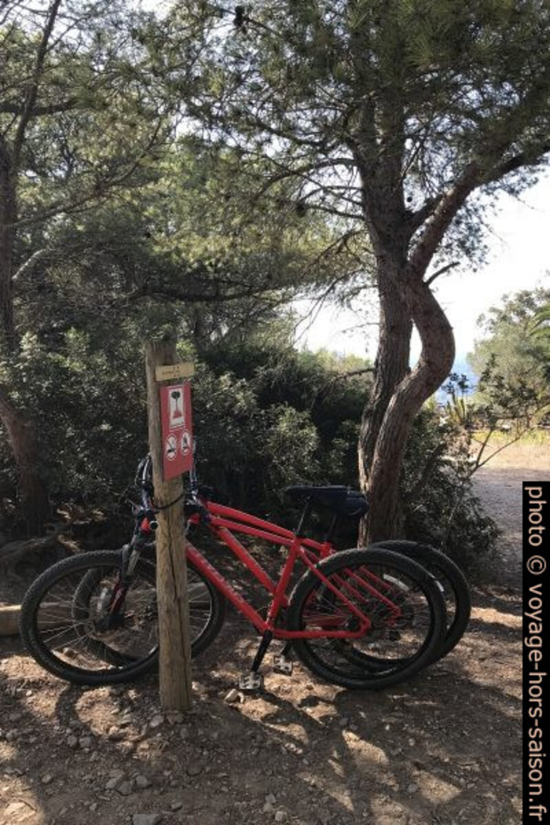 Nos deux vélos de location. Photo © Alex Medwedeff