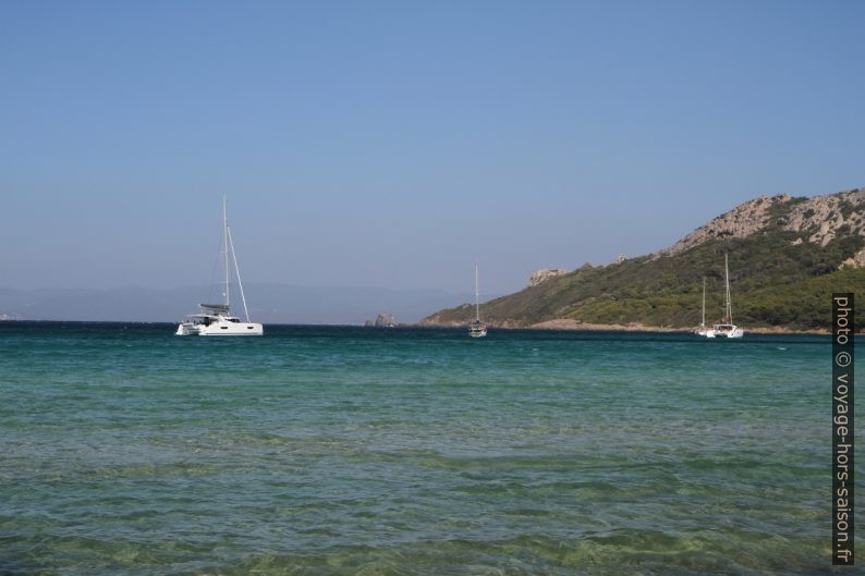 Catamarans dans la Baie de l'Alycastre. Photo © Alex Medwedeff