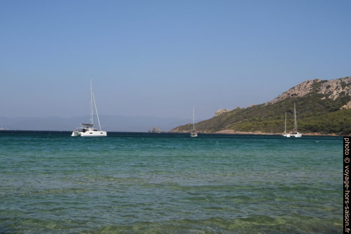 Catamarans dans la Baie de l'Alycastre. Photo © Alex Medwedeff