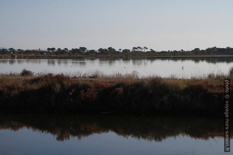 Etang des Pesquiers. Photo © Alex Medwedeff