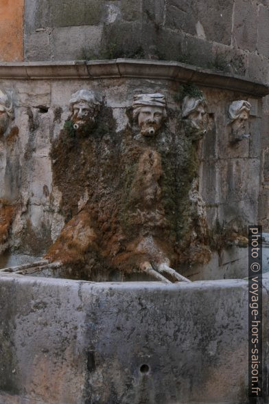 Fontaine de l'Église de l'Annonciade. Photo © Alex Medwedeff