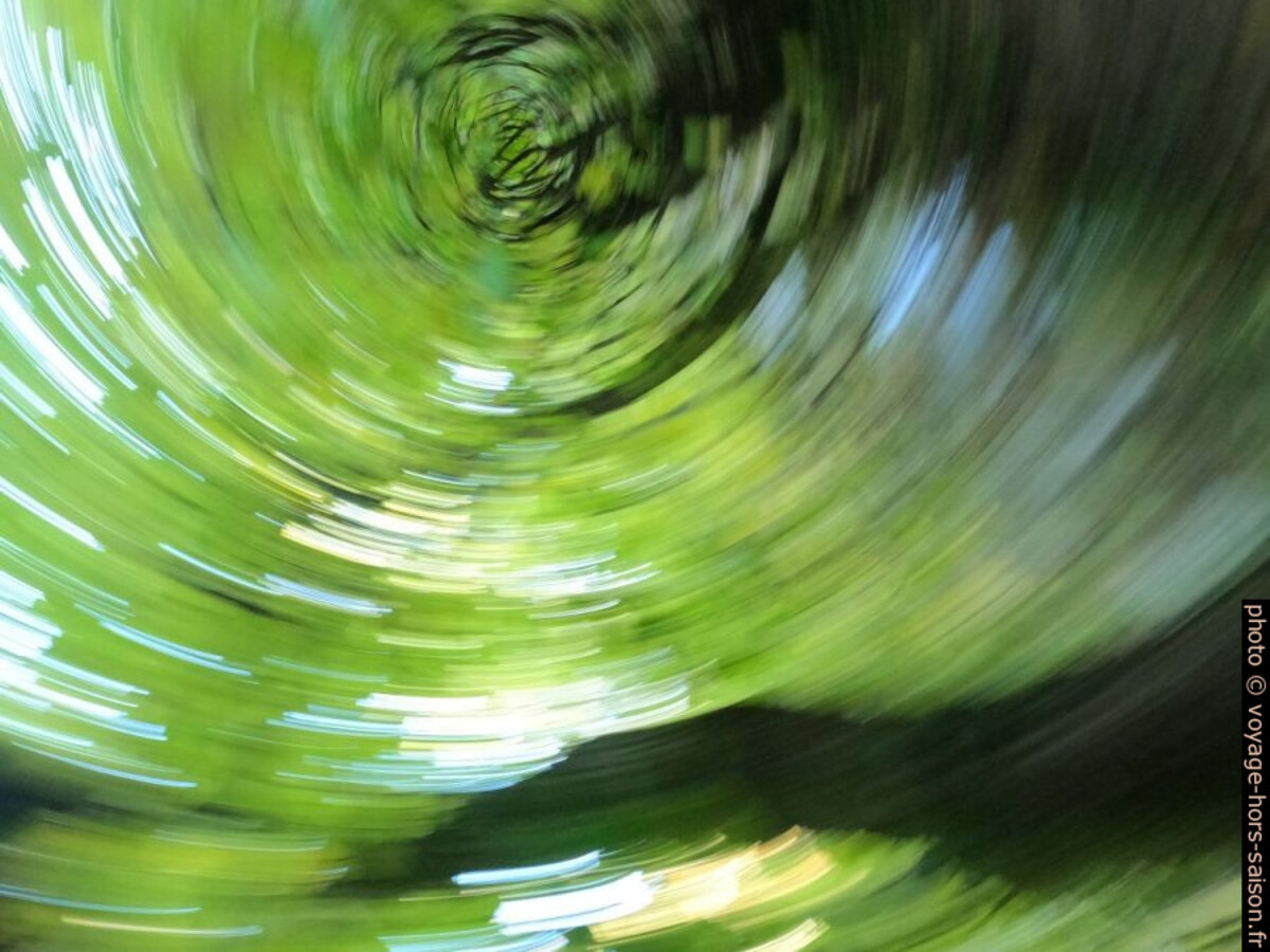 Camera tourné sous les arbres avec longue exposition. Photo © André M. Winter