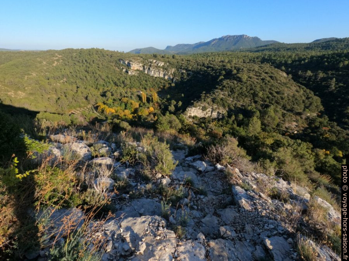 Le Massif de la Loube au fond. Photo © André M. Winter
